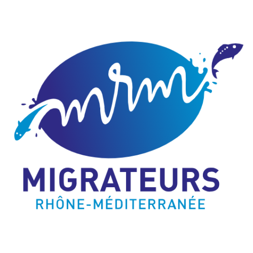 MRM